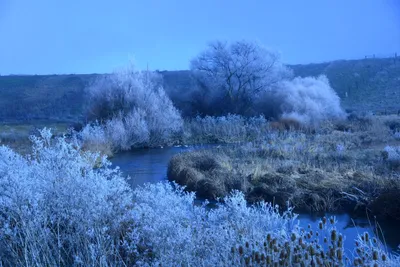 DSC_0998 (Large).JPG